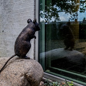 12 små mus gemmer sig både indendørs og udendørs på museets matrikel