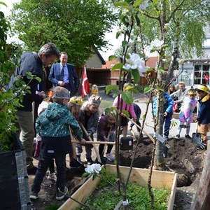 Kronprins Frederik og en lille flok af børnehavens børn plantede et kastanjetræ sammen.